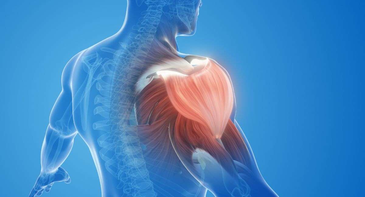 Decoding Shoulder Pain